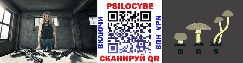 Псилоцибиновые грибы Cubensis  купить   Сызрань 